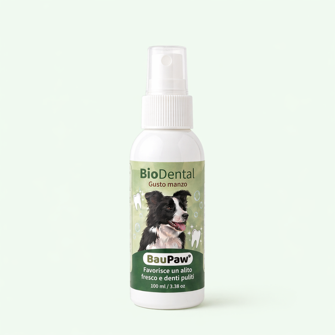 Spray Dentale BauPaw™ – Elimina i batteri che causano tartaro e alito cattivo nei cani