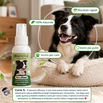Spray Dentale BauPaw™ – Elimina i batteri che causano tartaro e alito cattivo nei cani