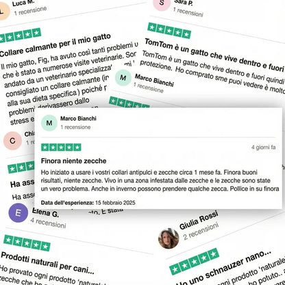 Ciondolo BauPaw™ - 12 mesi di protezione naturale per cani