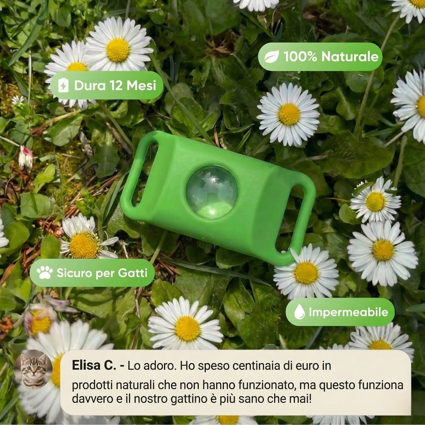 Ciondolo BauPaw™ - 12 mesi di protezione naturale per gatti