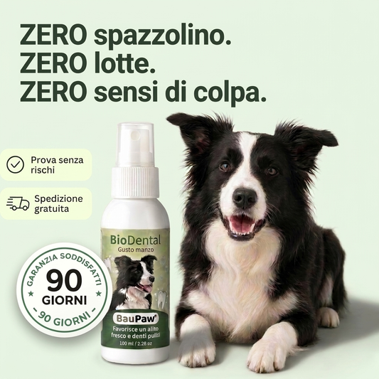 Spray Dentale BauPaw™ – Elimina i batteri che causano tartaro e alito cattivo nei cani